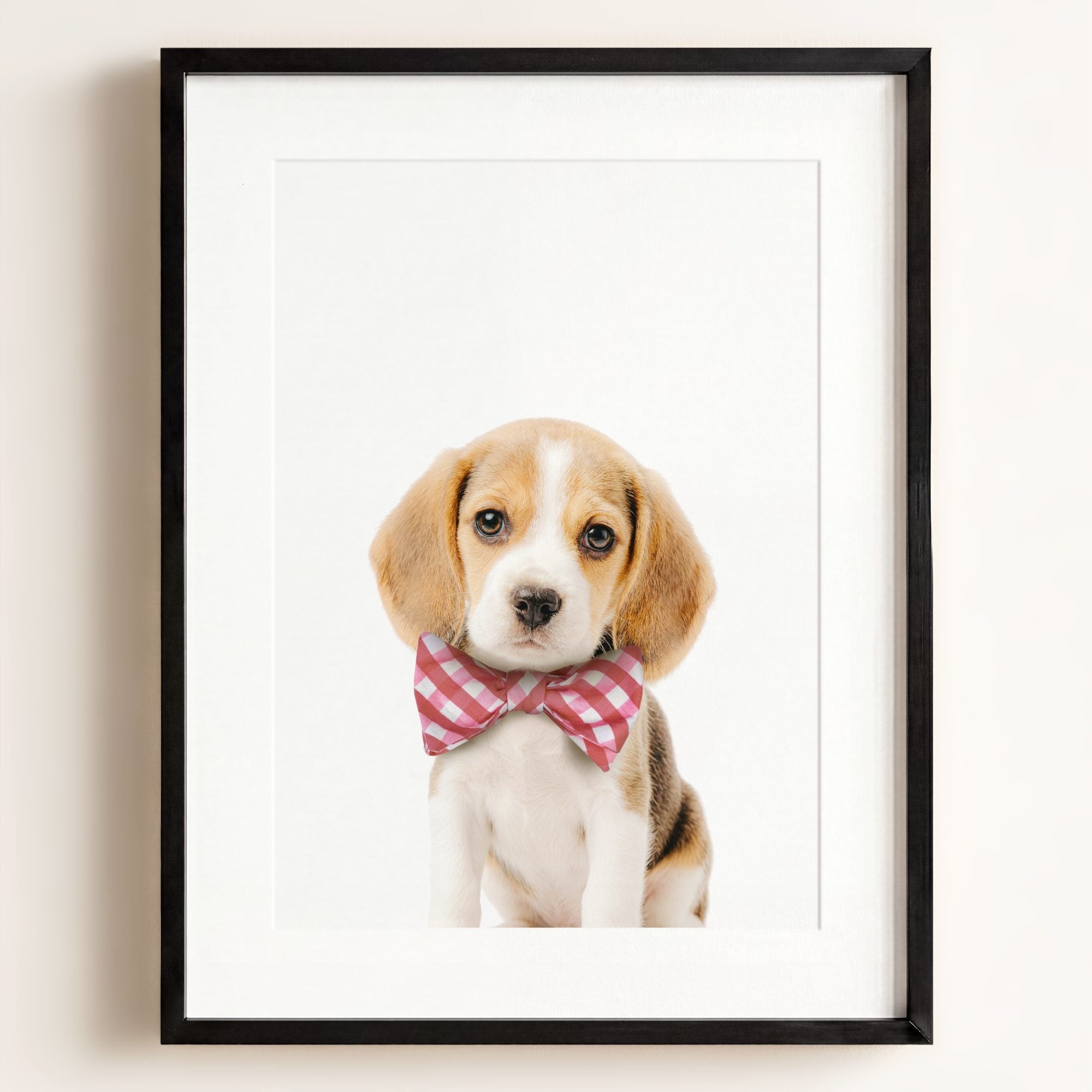 Baby Beagle Puppy