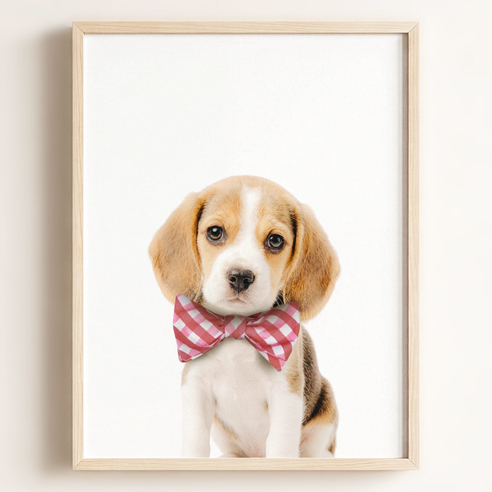 Baby Beagle Puppy