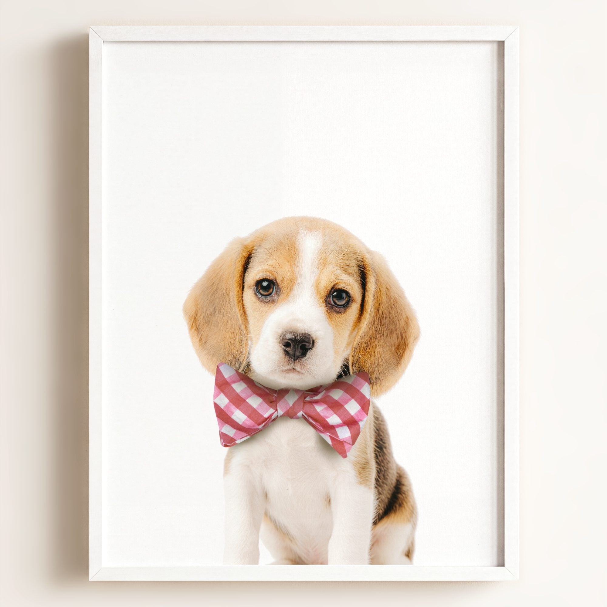 Baby Beagle Puppy