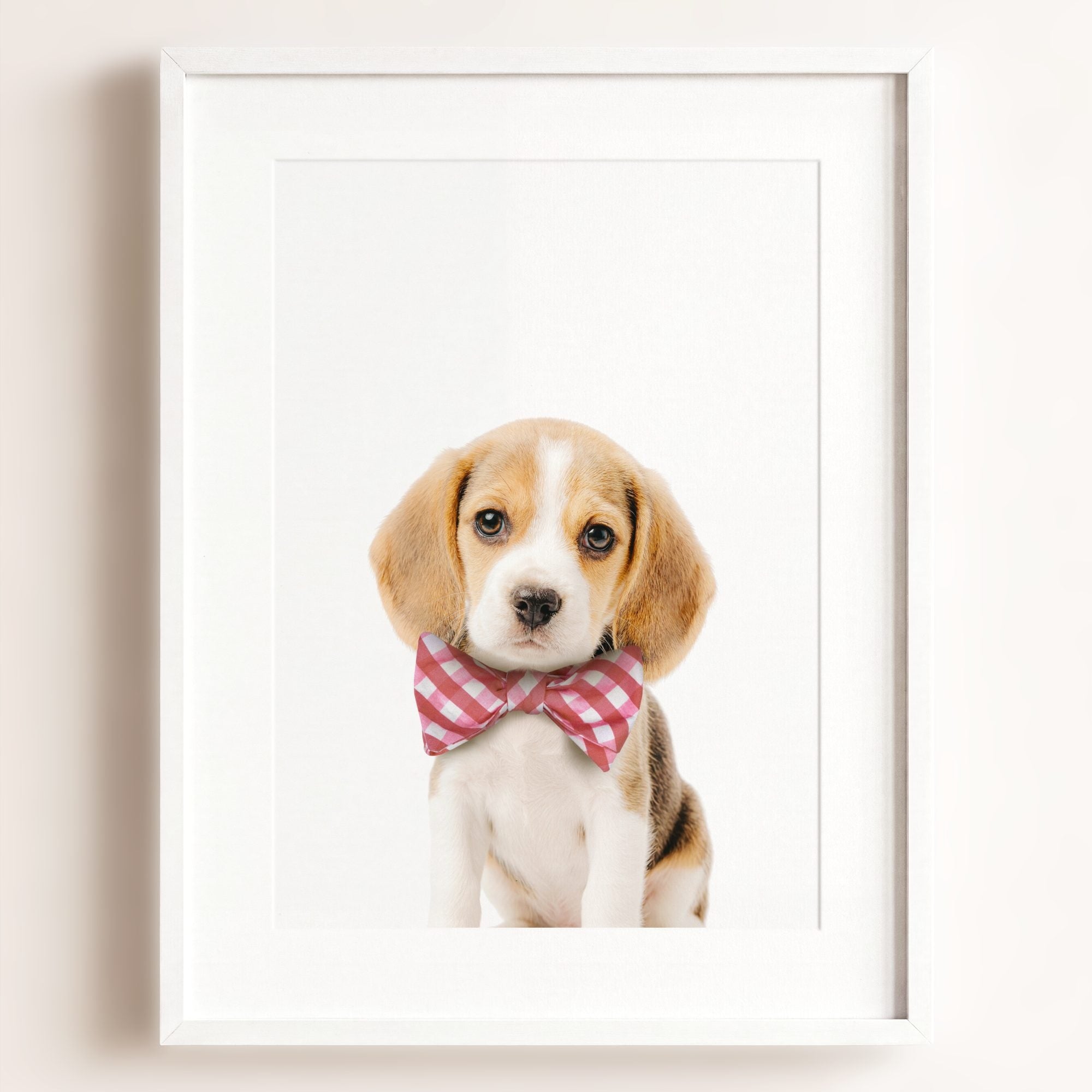 Baby Beagle Puppy
