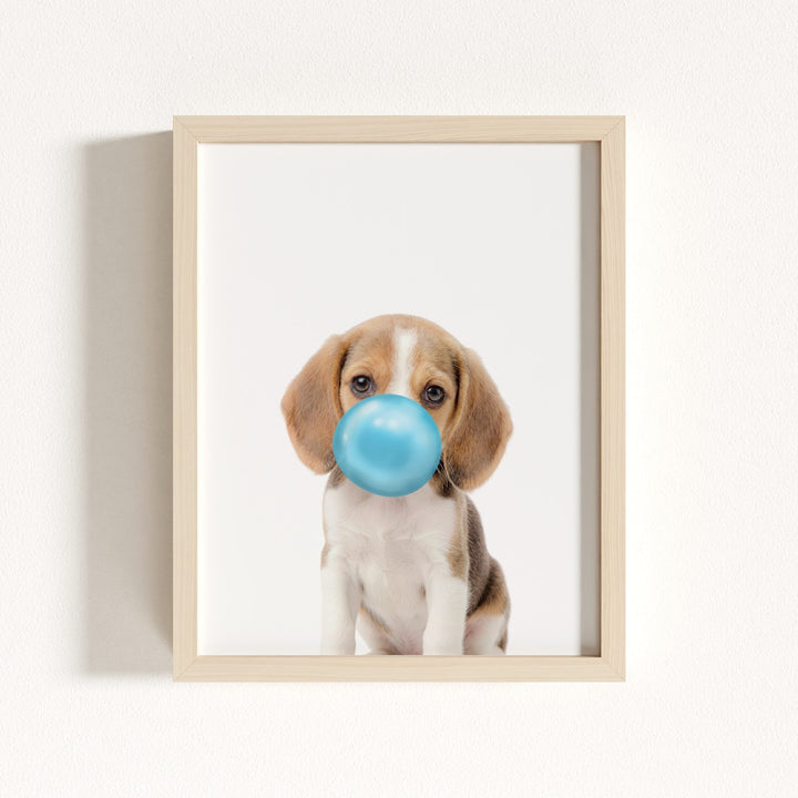 Baby Beagle Puppy