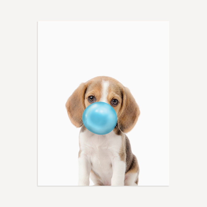 Baby Beagle Puppy