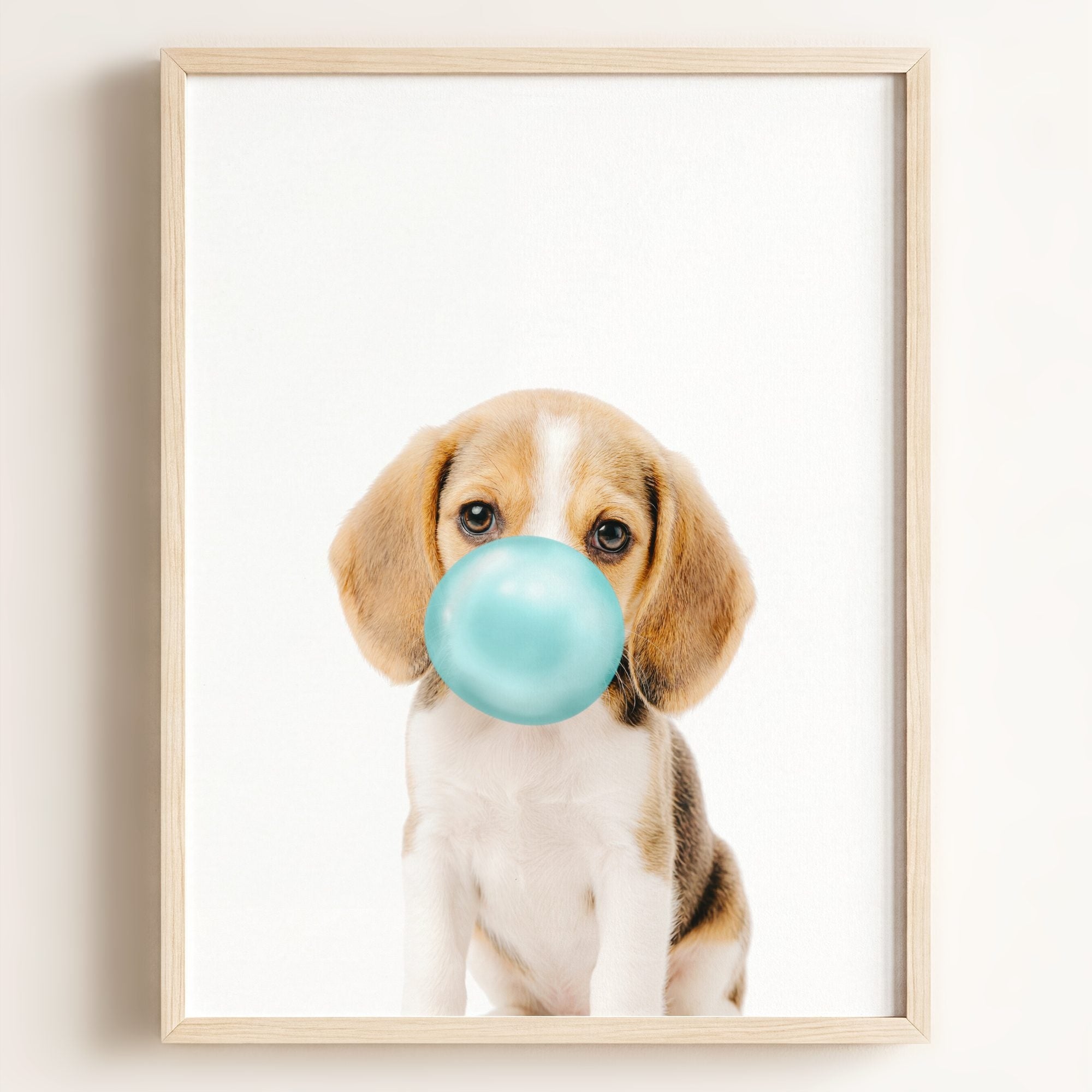 Baby Beagle Puppy