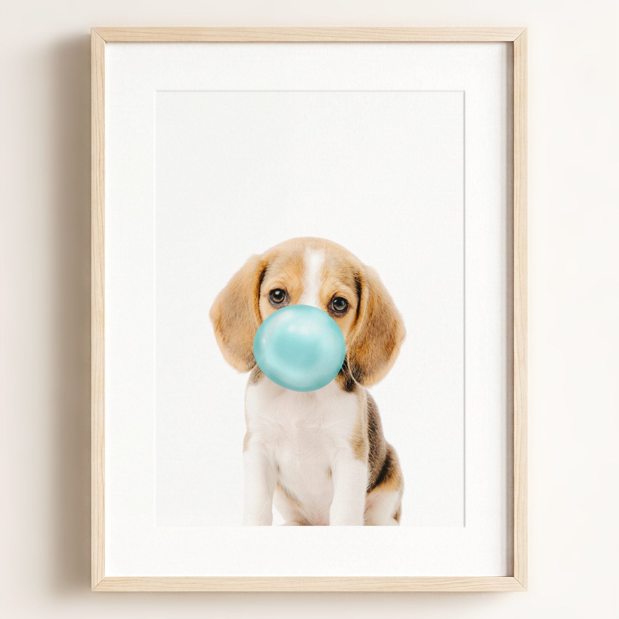Baby Beagle Puppy