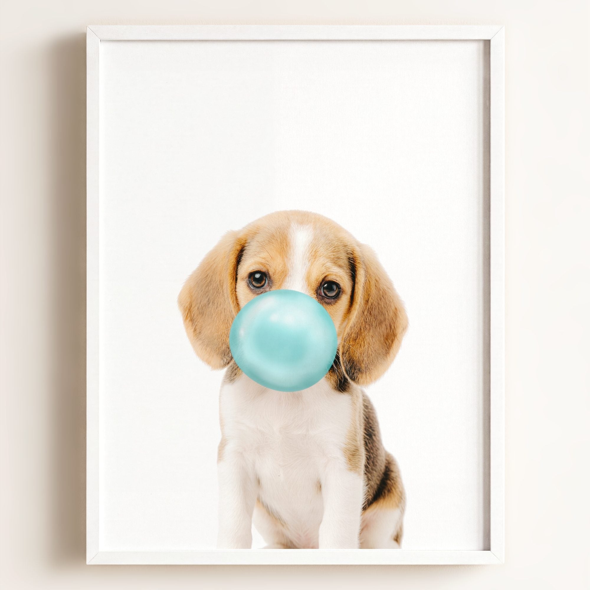 Baby Beagle Puppy