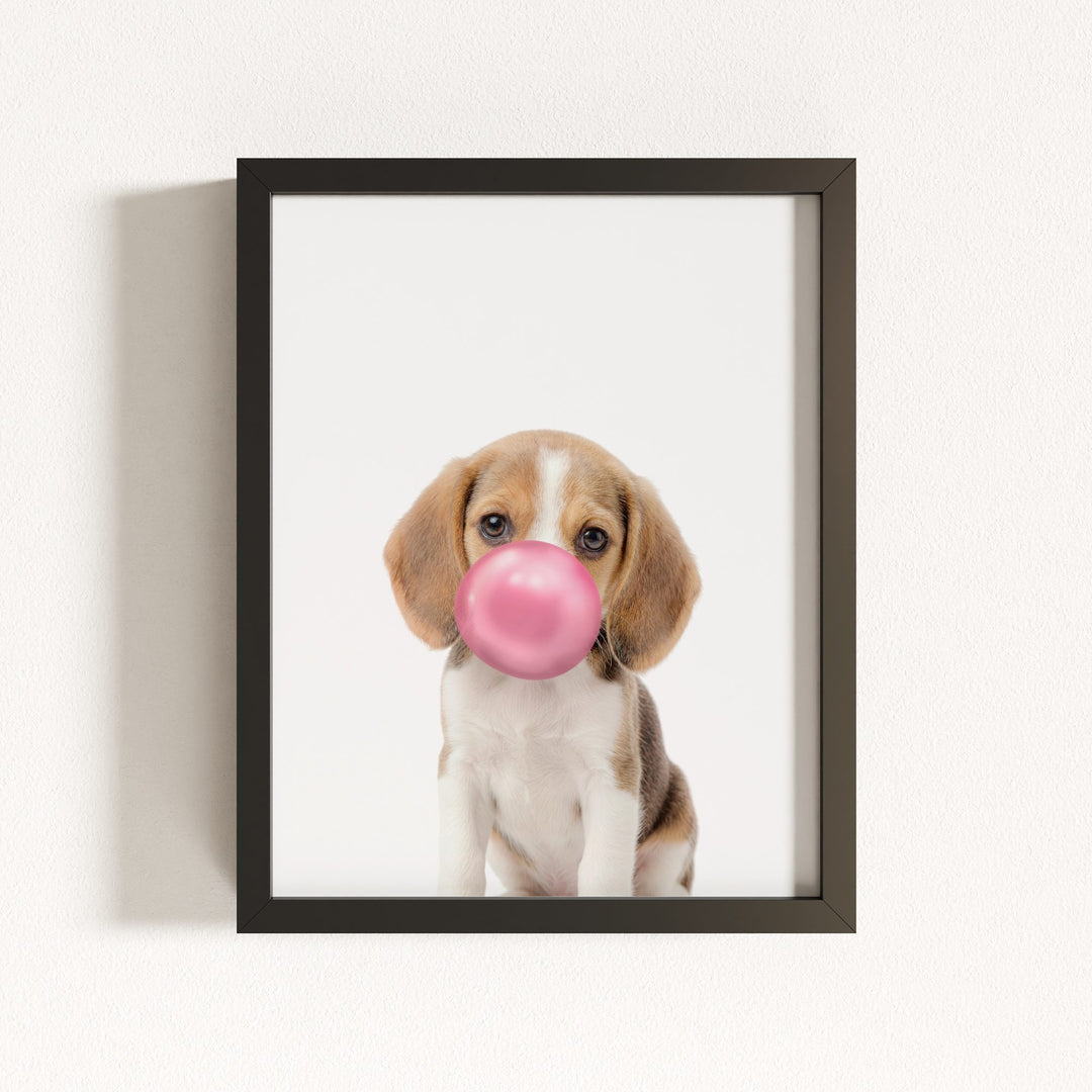 Baby Beagle Puppy