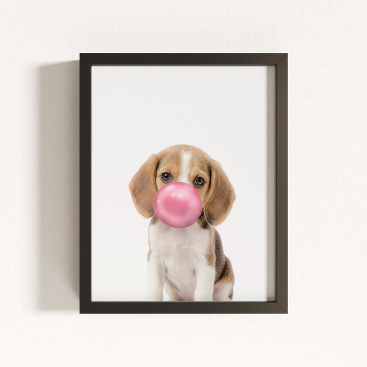 Baby Beagle Puppy