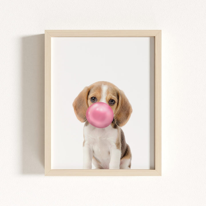 Baby Beagle Puppy