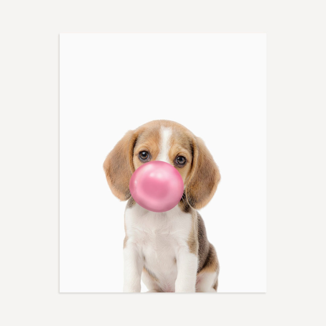 Baby Beagle Puppy
