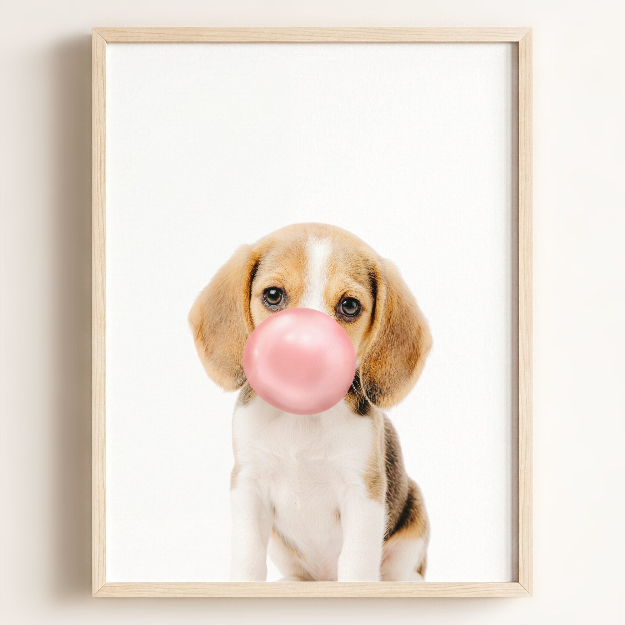 Baby Beagle Puppy