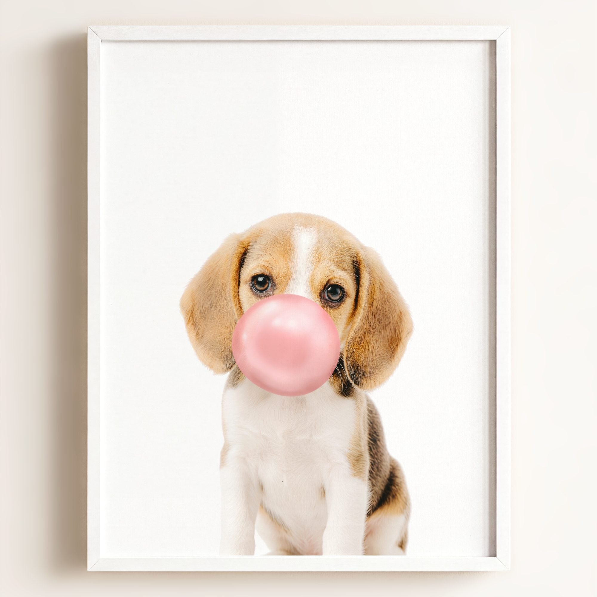 Baby Beagle Puppy