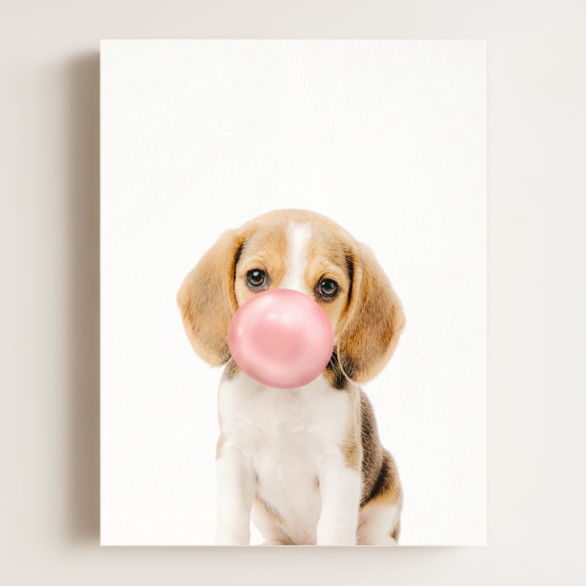 Baby Beagle Puppy