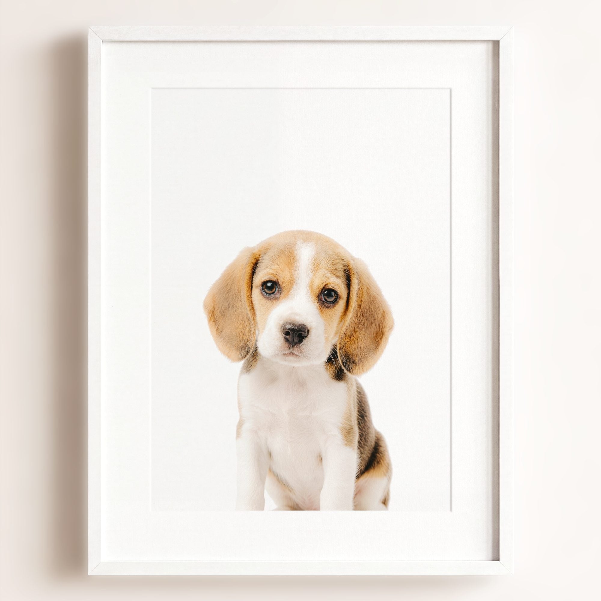 Baby Beagle Puppy