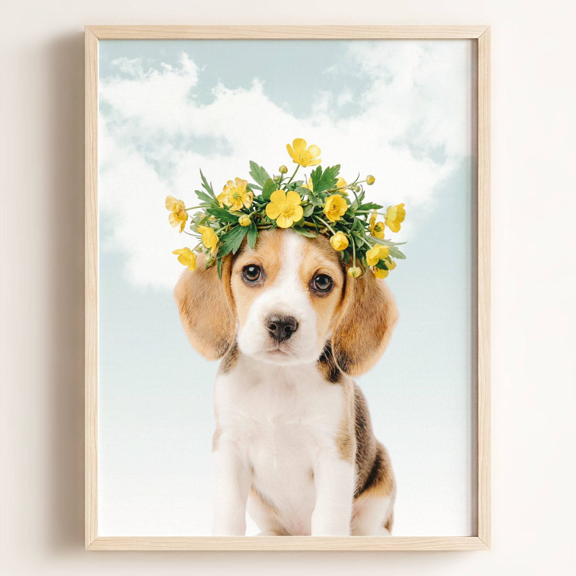Baby Beagle Puppy