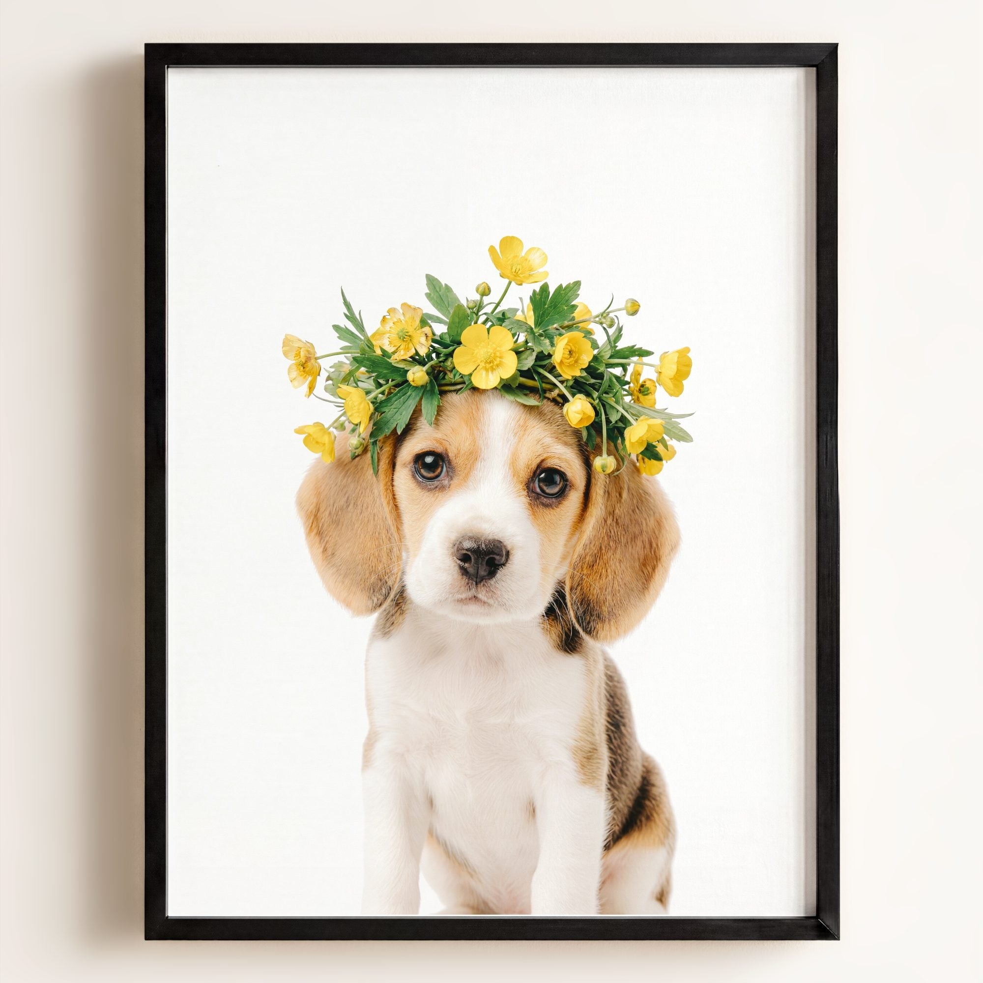 Baby Beagle Puppy
