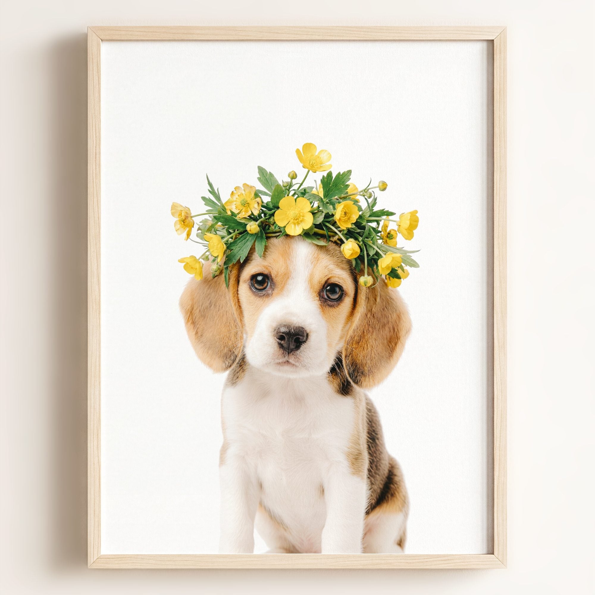 Baby Beagle Puppy
