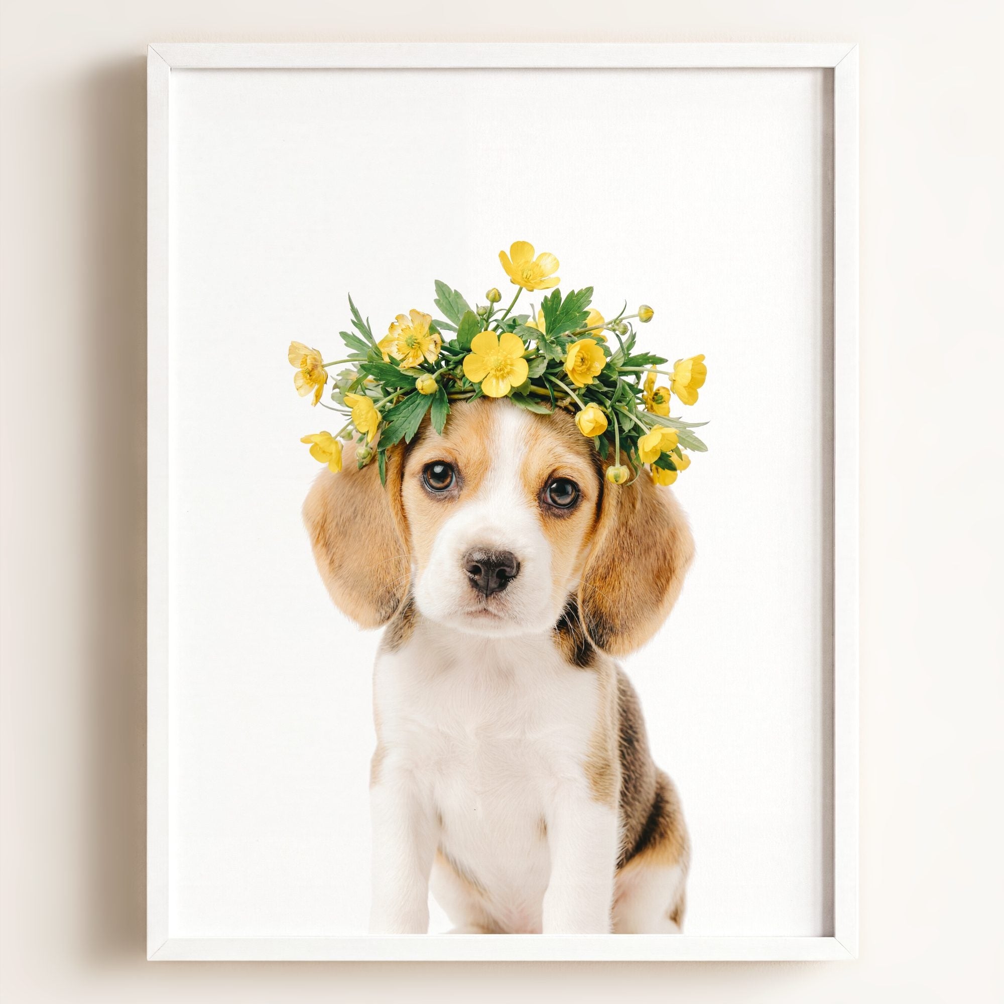 Baby Beagle Puppy
