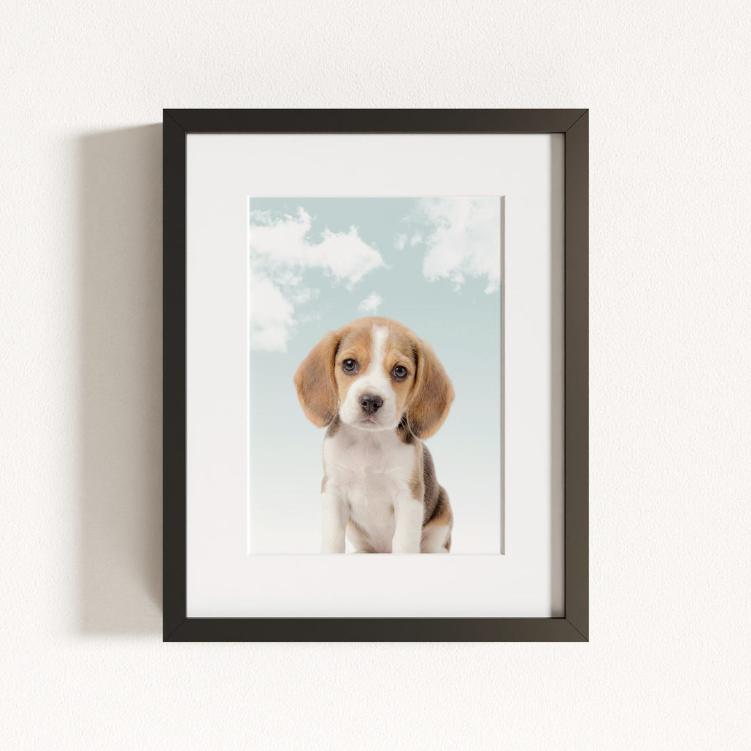 Baby Beagle Puppy