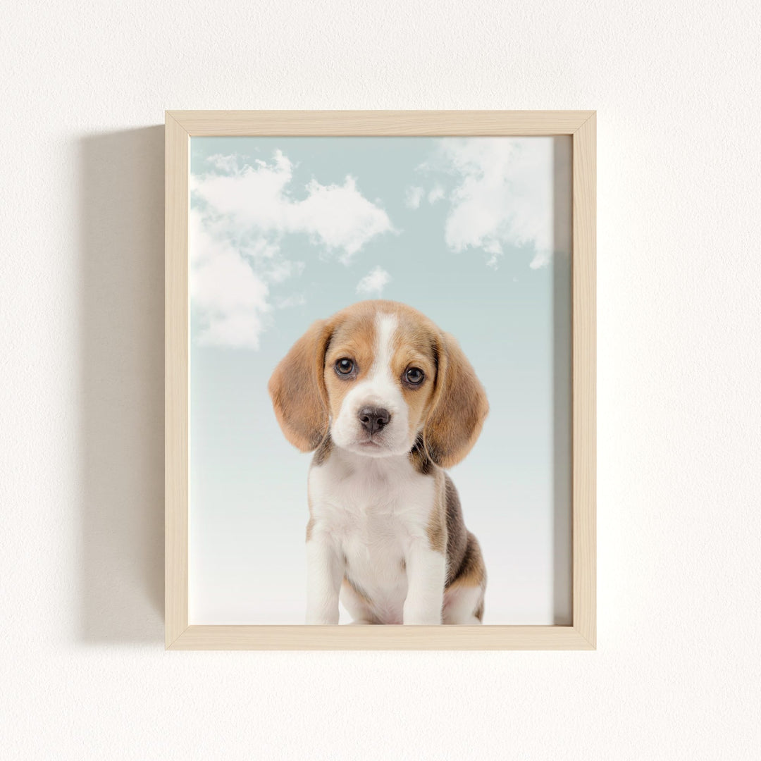 Baby Beagle Puppy