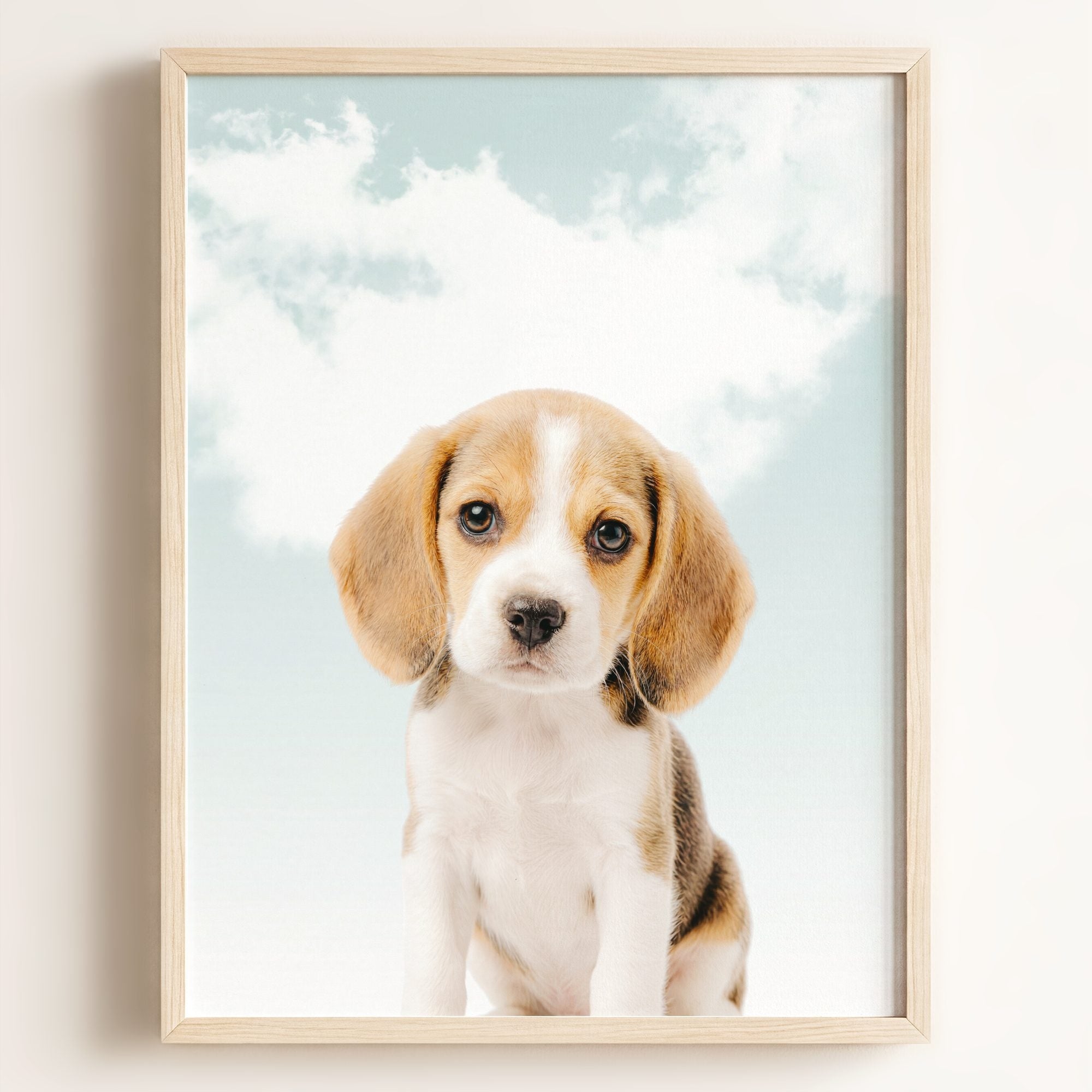 Baby Beagle Puppy