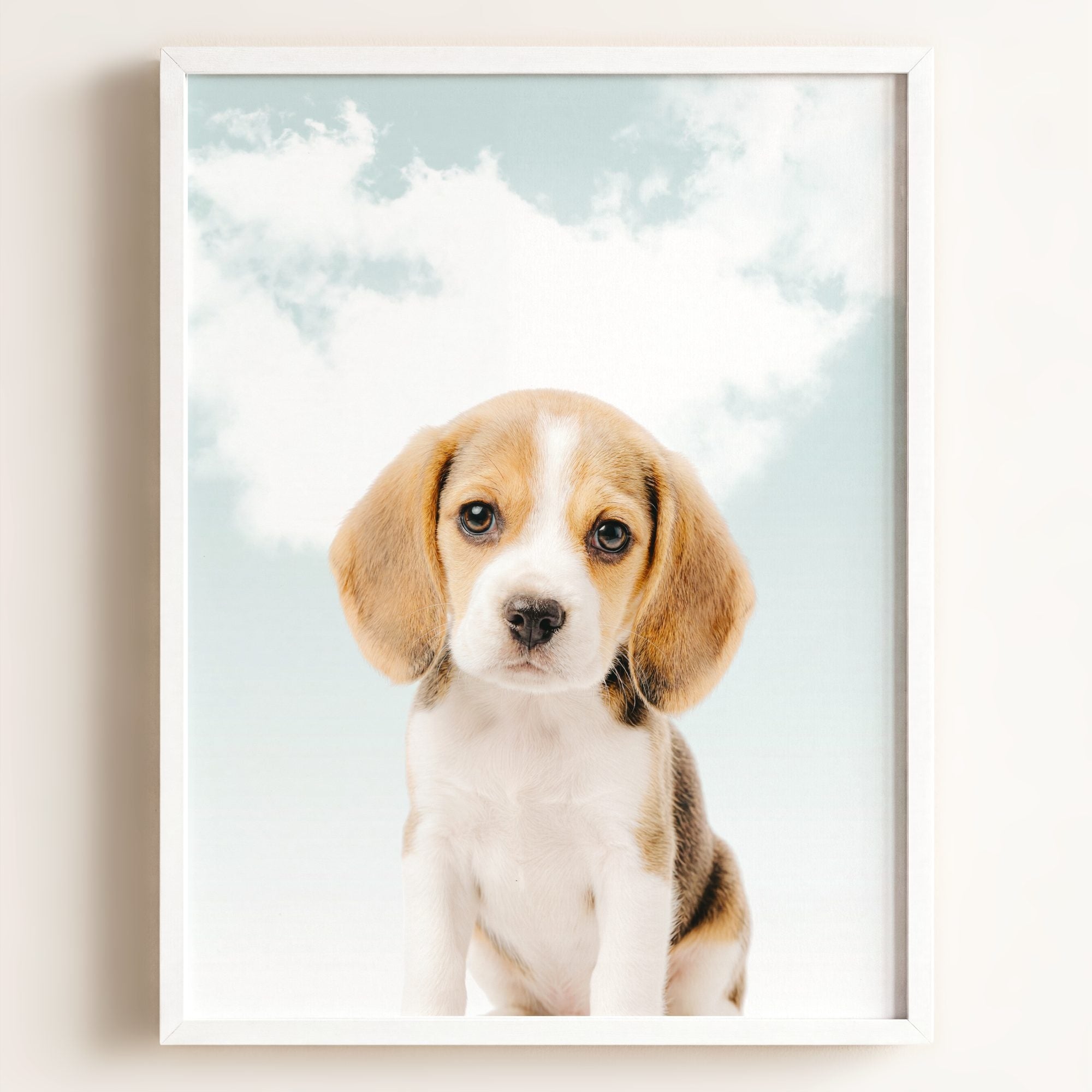 Baby Beagle Puppy