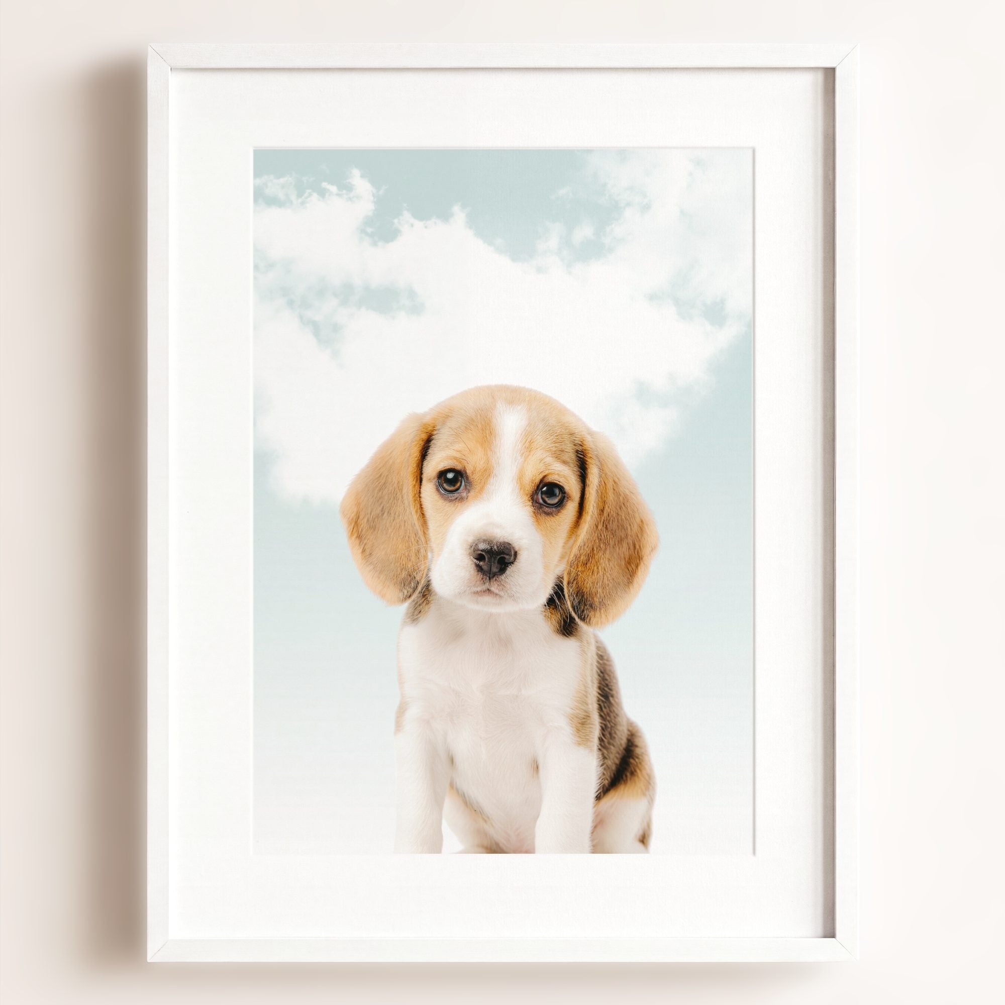 Baby Beagle Puppy