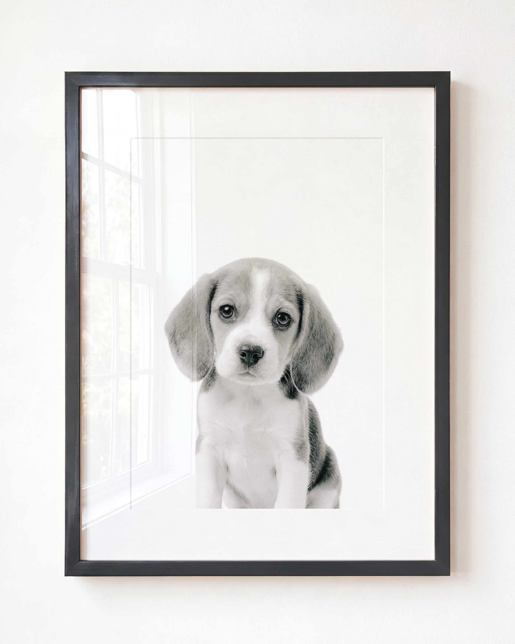 Baby Beagle Puppy - Classic · 5x7 · Fine Art Print (Unframed