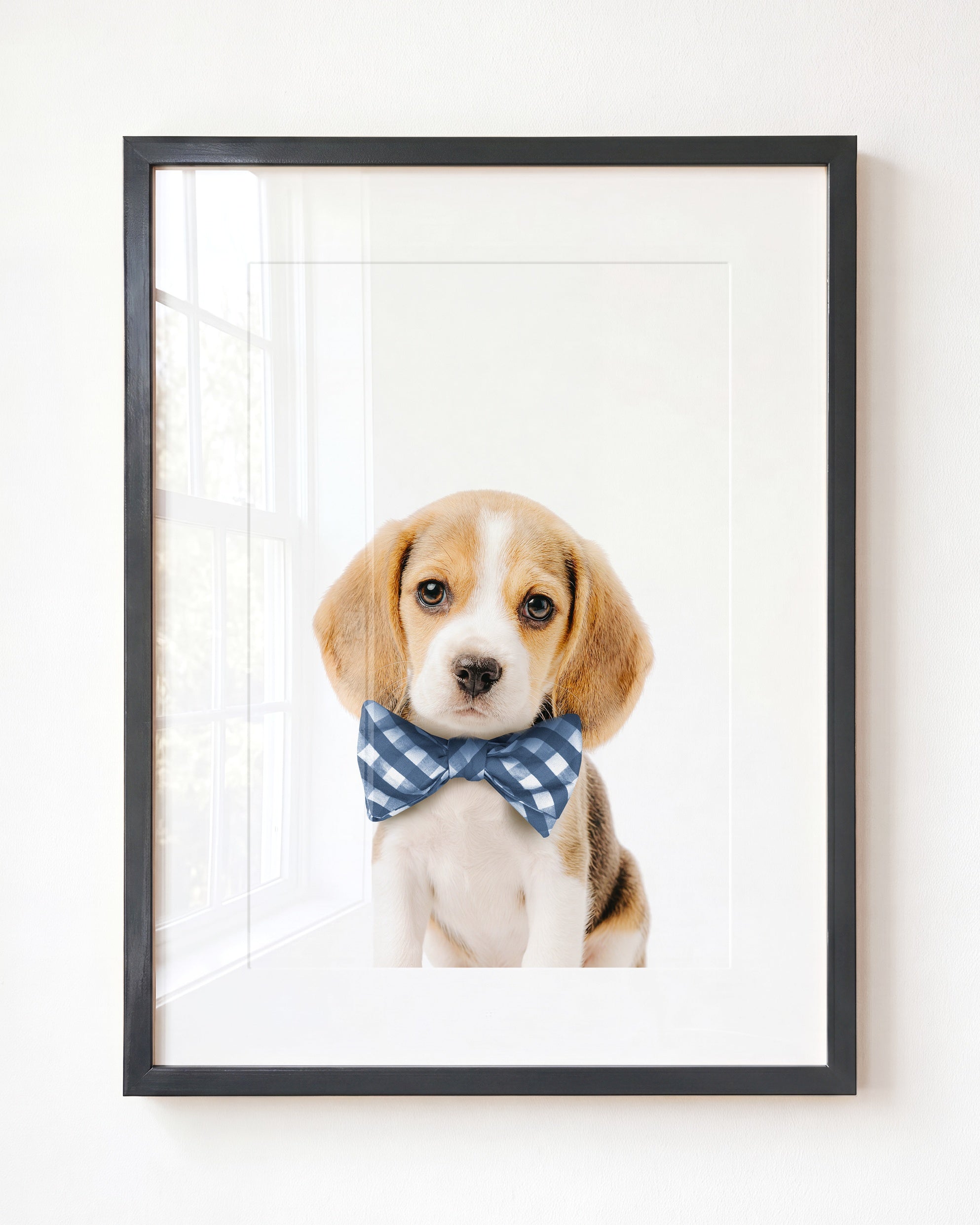 Baby Beagle Puppy