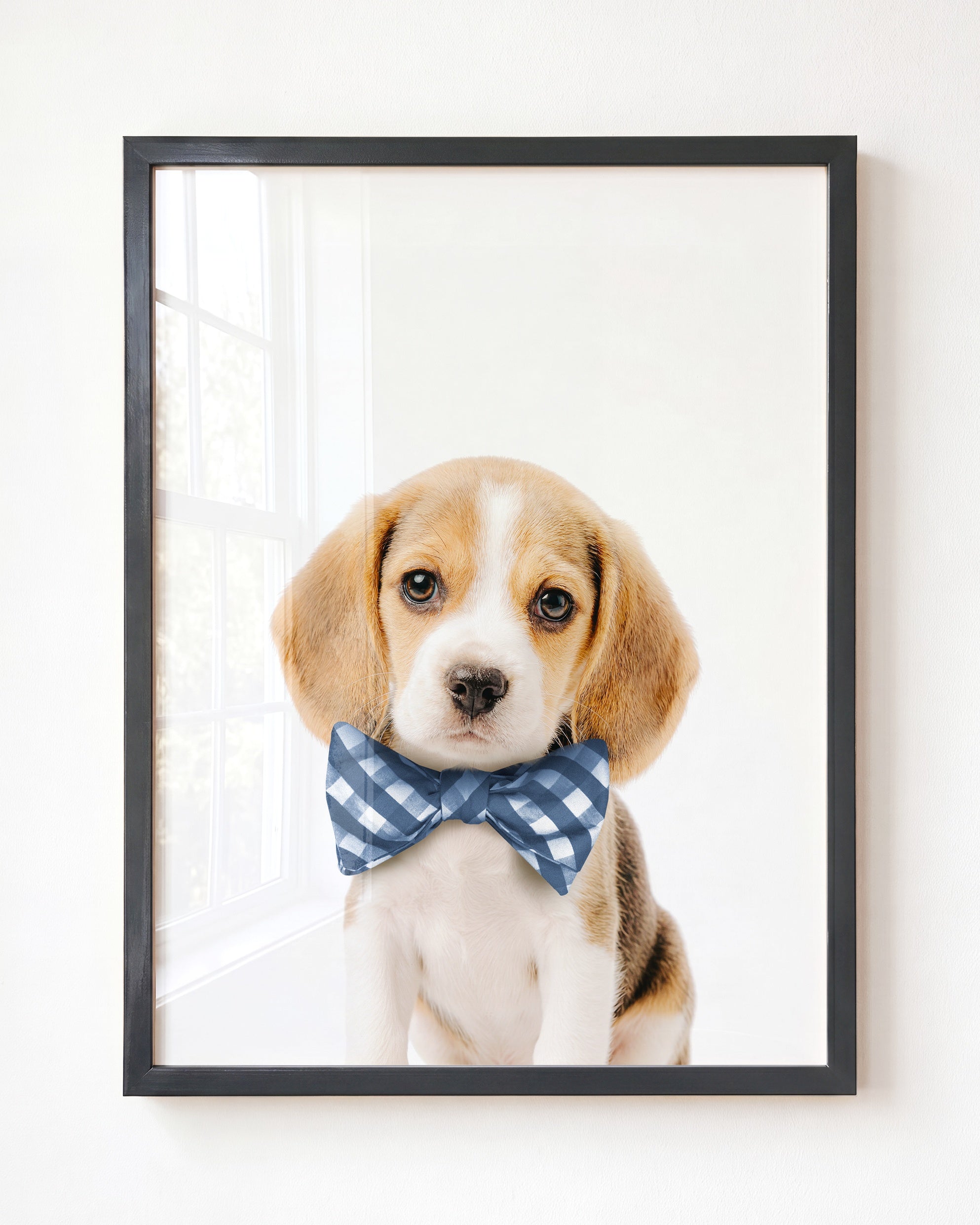 Baby Beagle Puppy