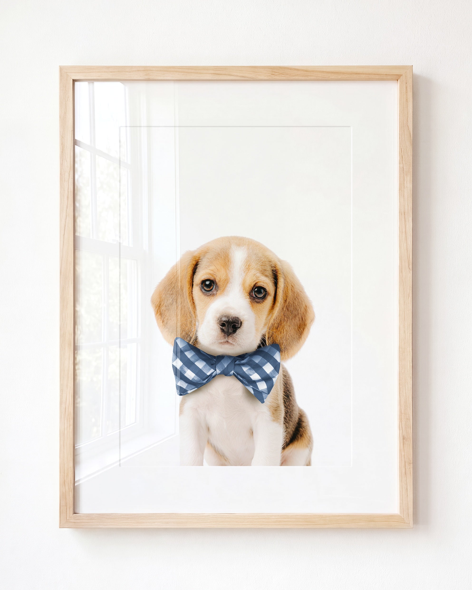 Baby Beagle Puppy