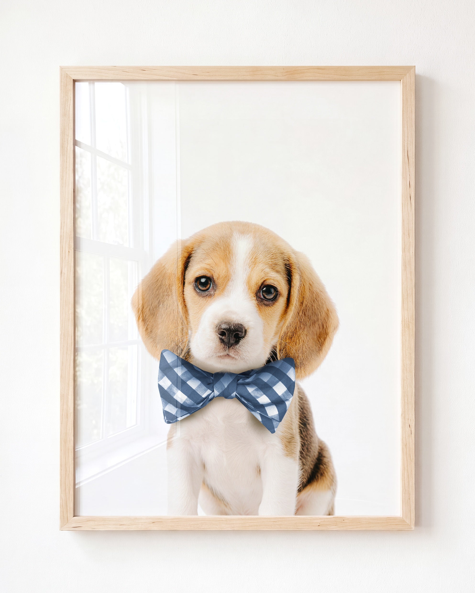 Baby Beagle Puppy