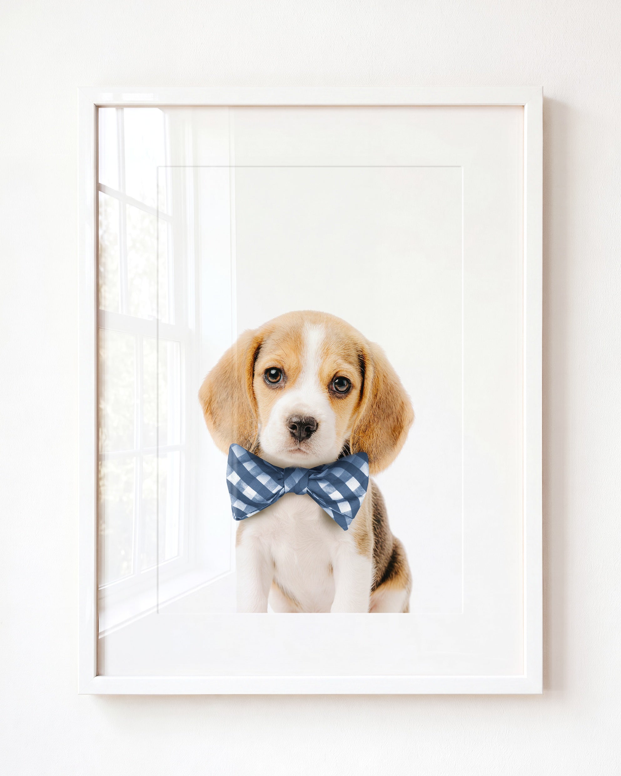 Baby Beagle Puppy