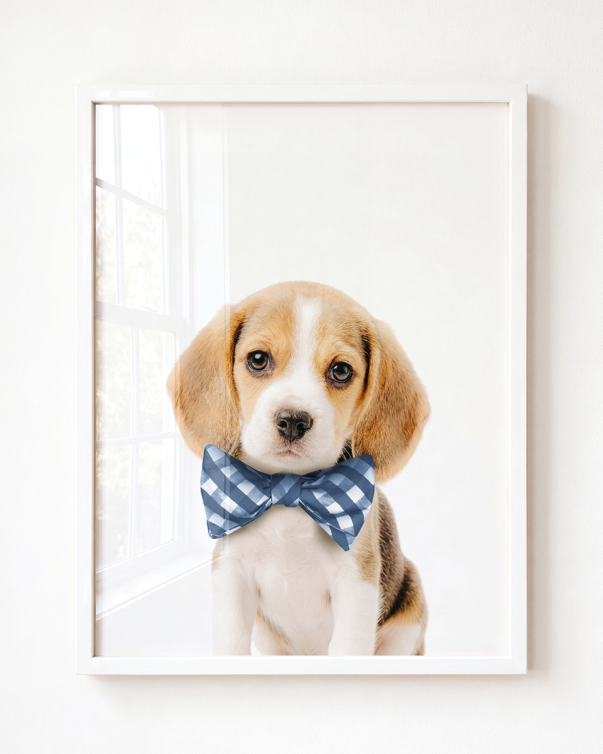 Baby Beagle Puppy