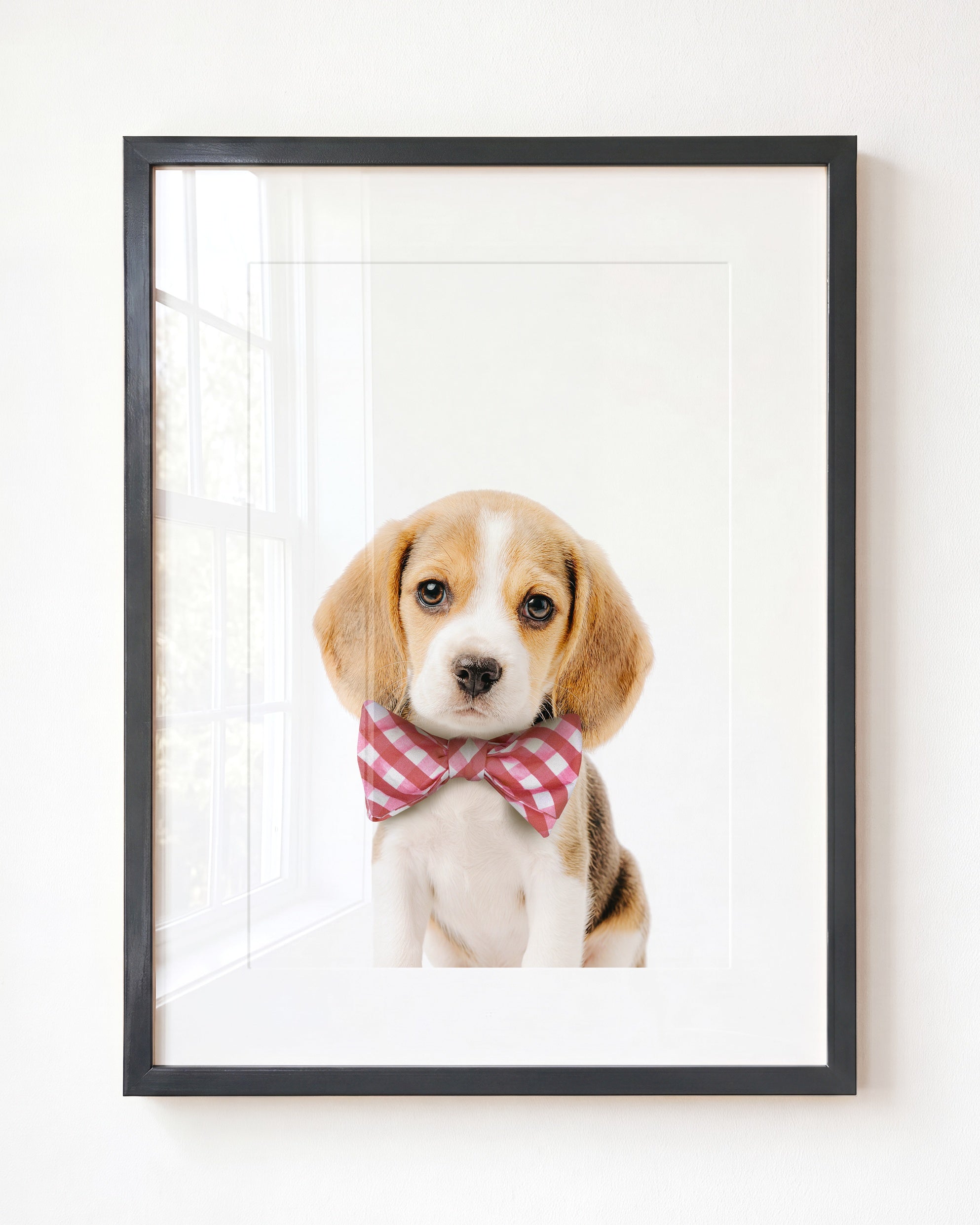 Baby Beagle Puppy