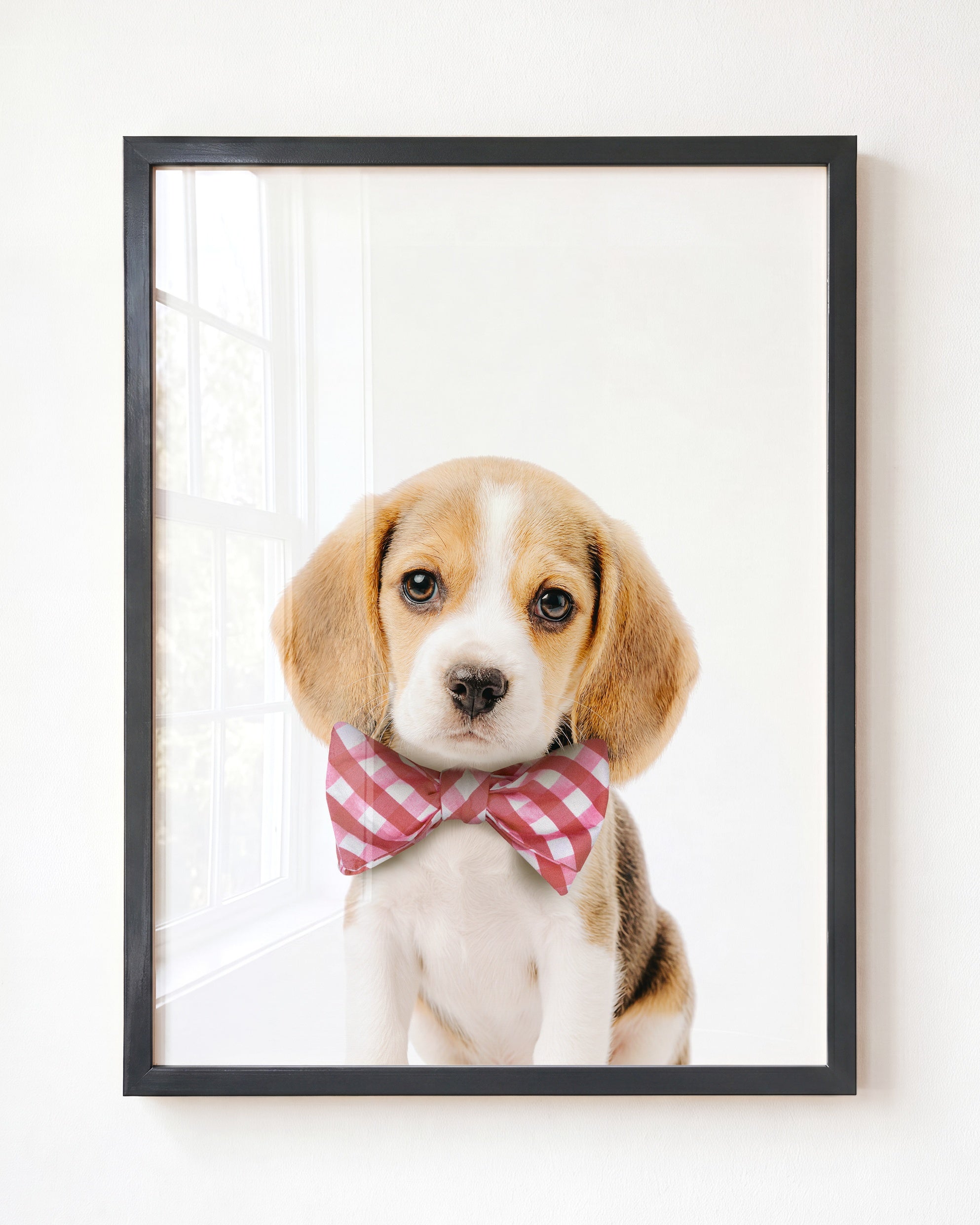 Baby Beagle Puppy