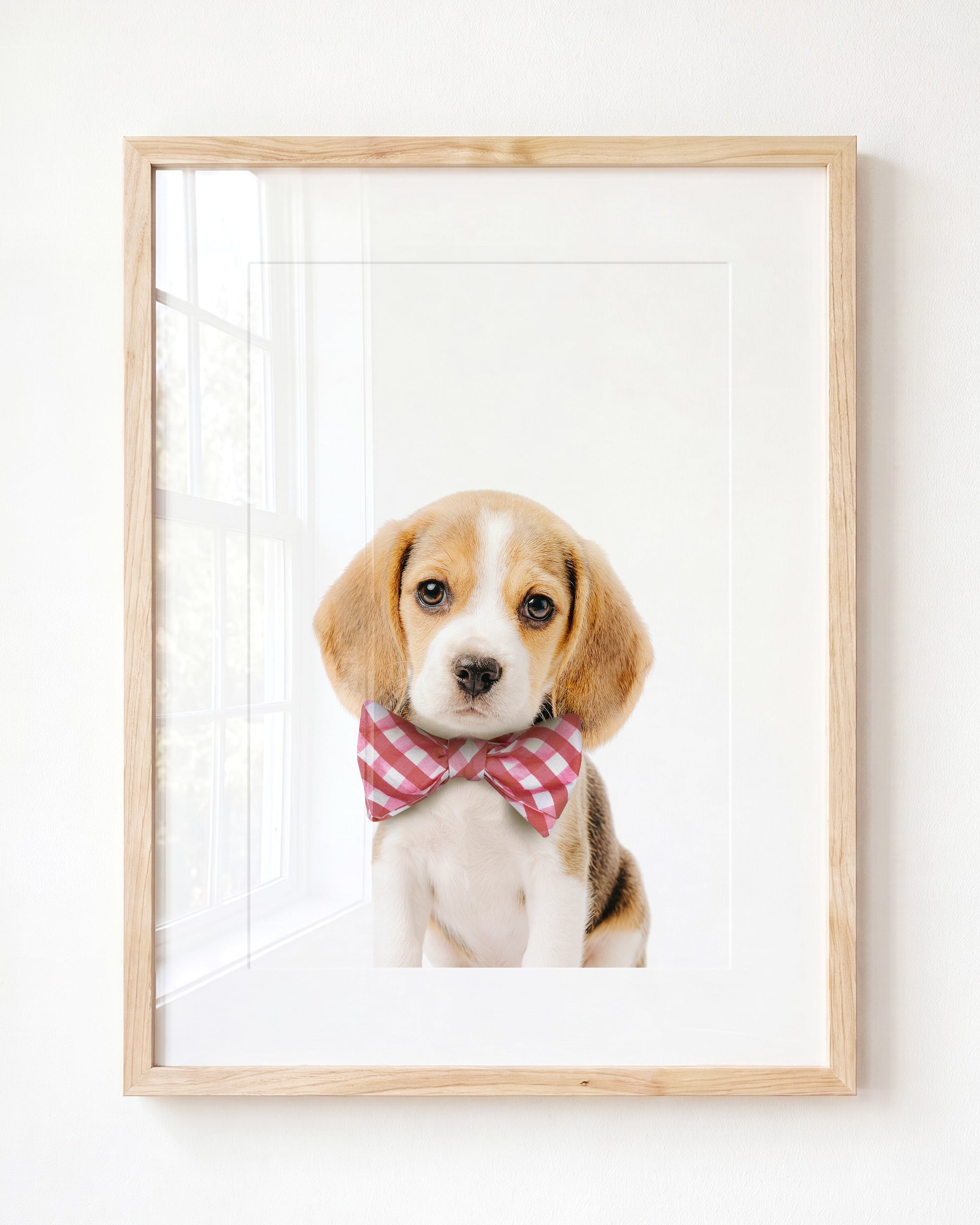 Baby Beagle Puppy