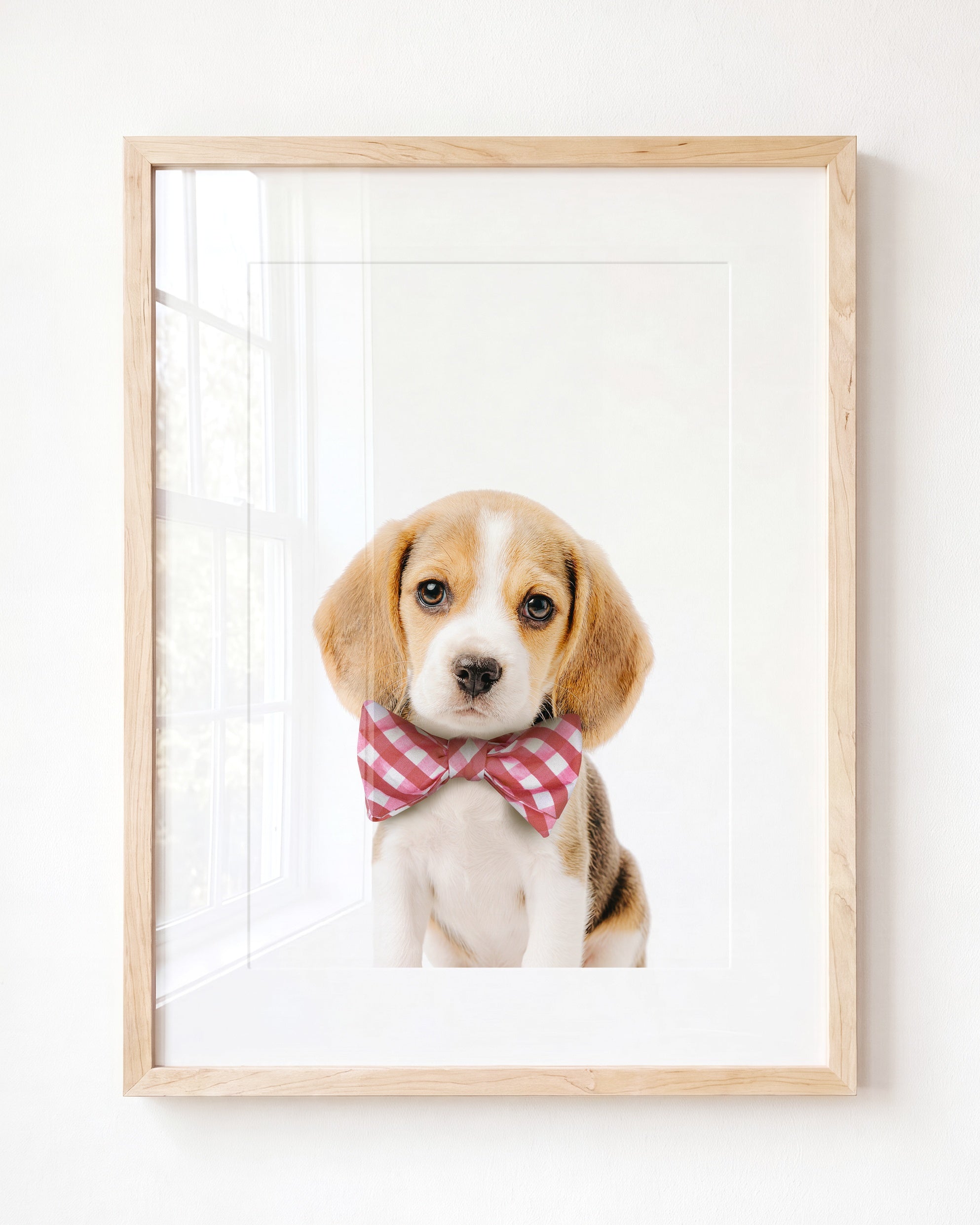 Baby Beagle Puppy