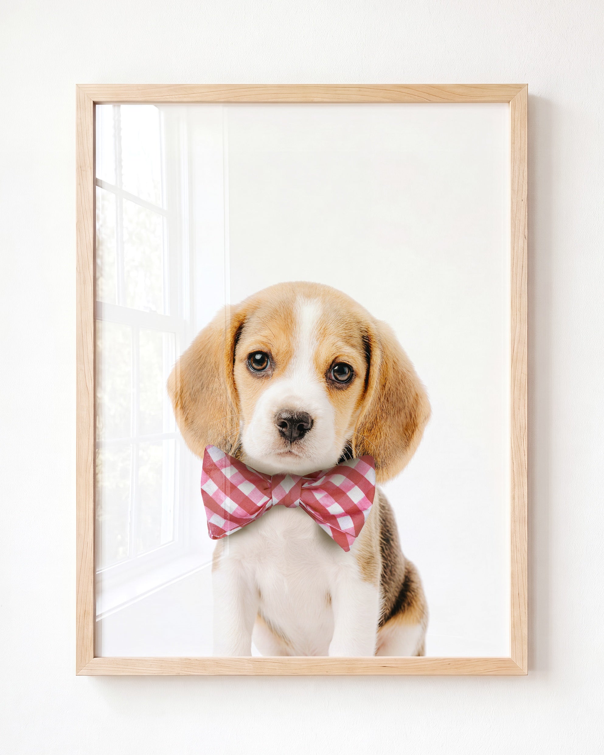 Baby Beagle Puppy