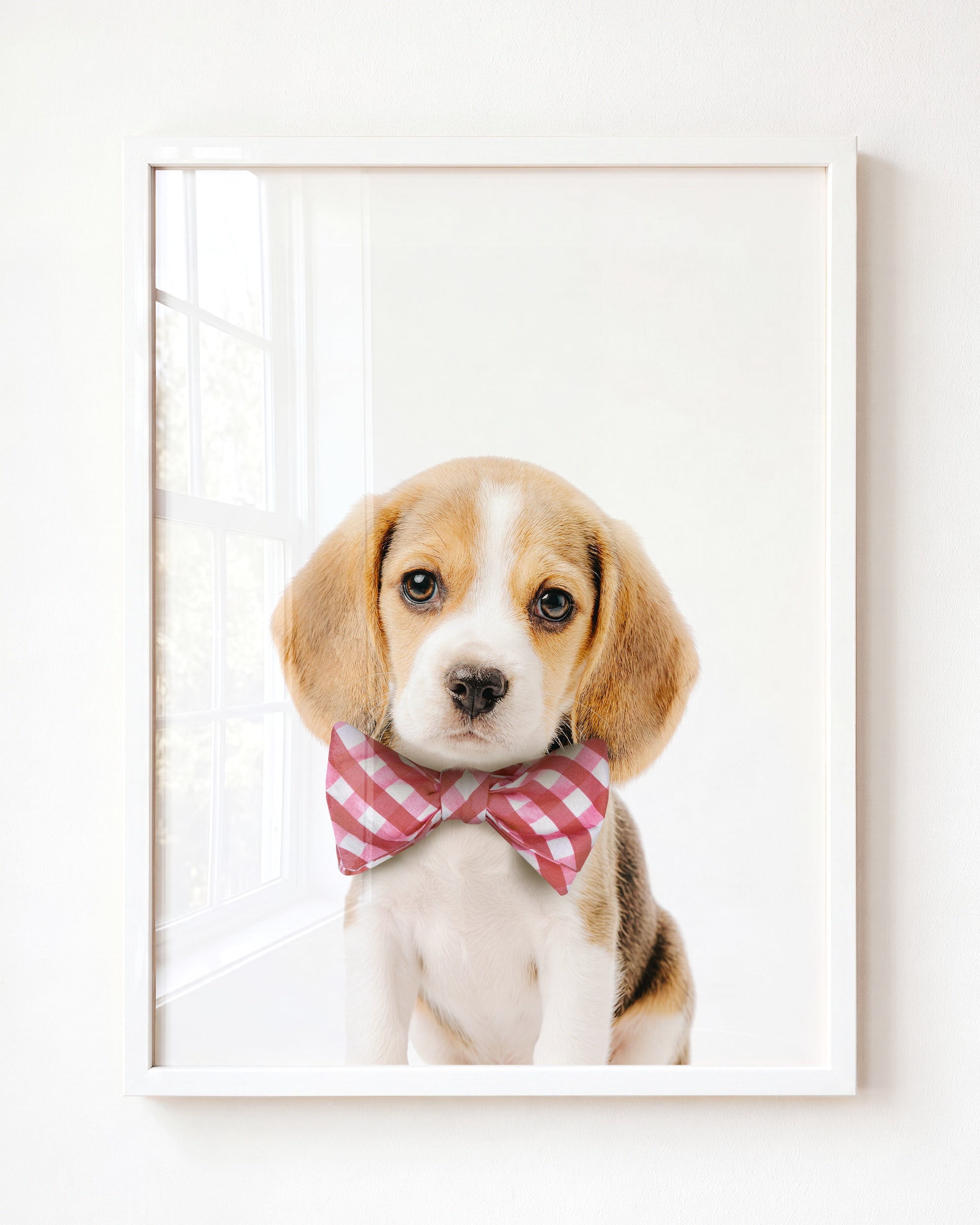 Baby Beagle Puppy