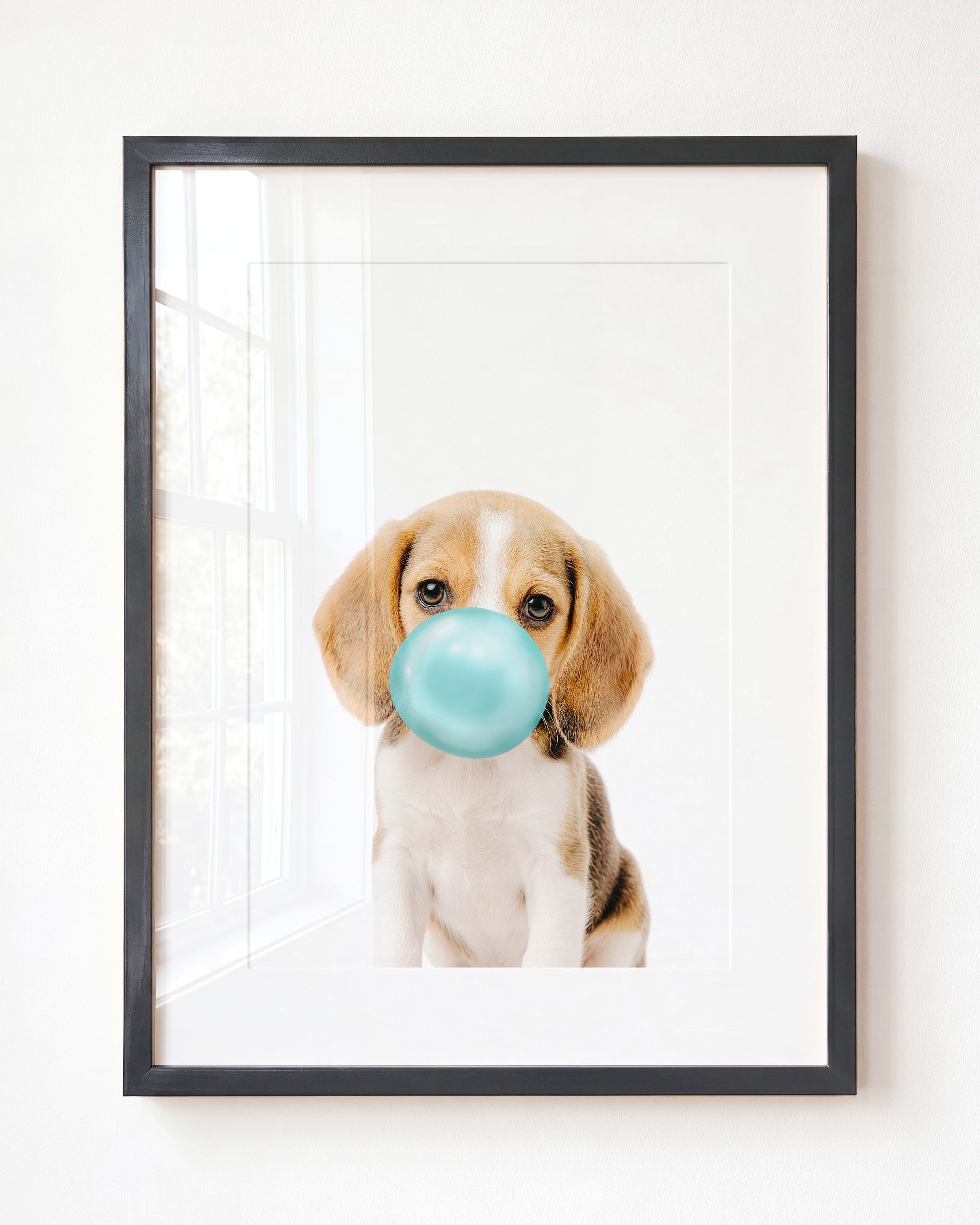 Baby Beagle Puppy
