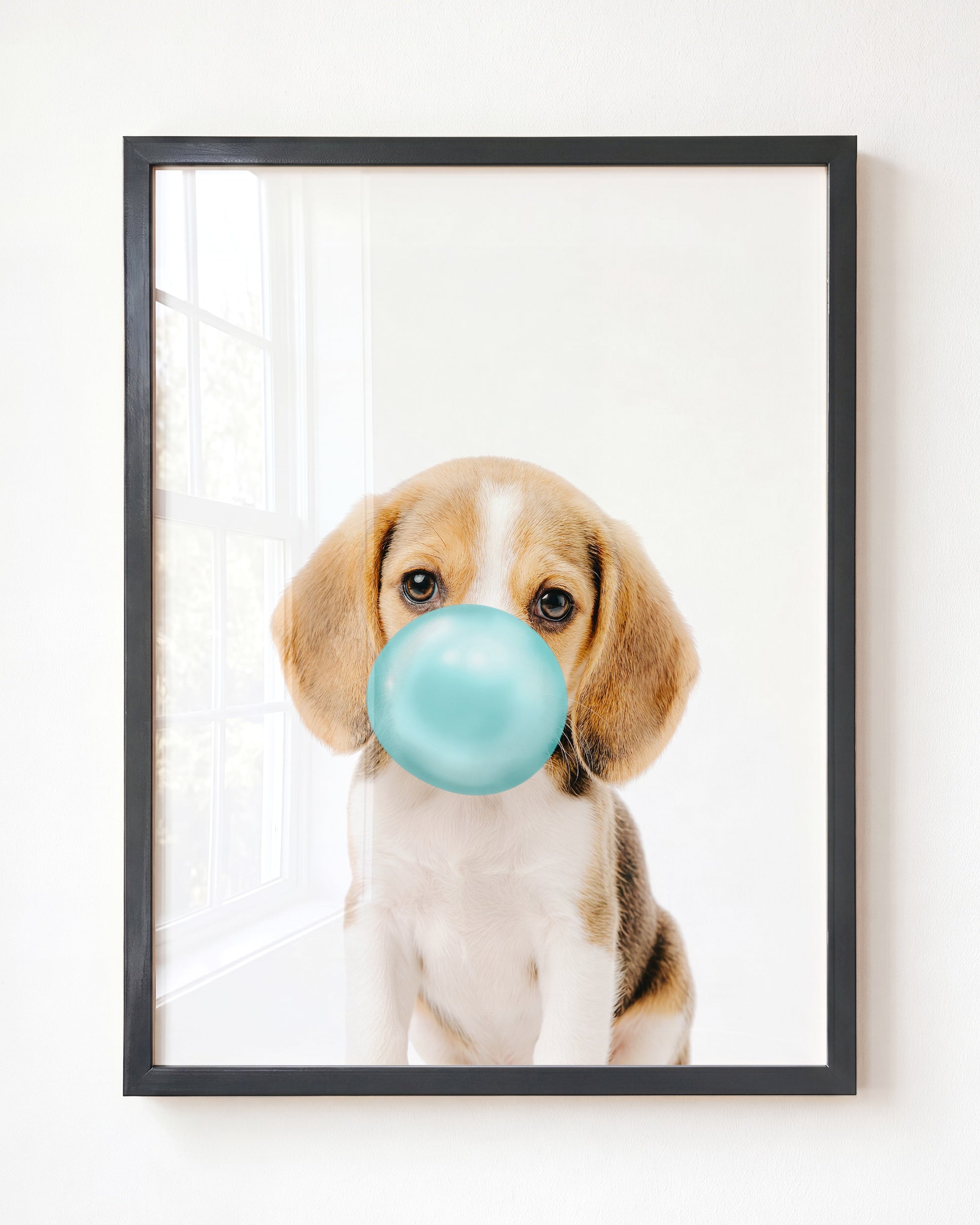 Baby Beagle Puppy