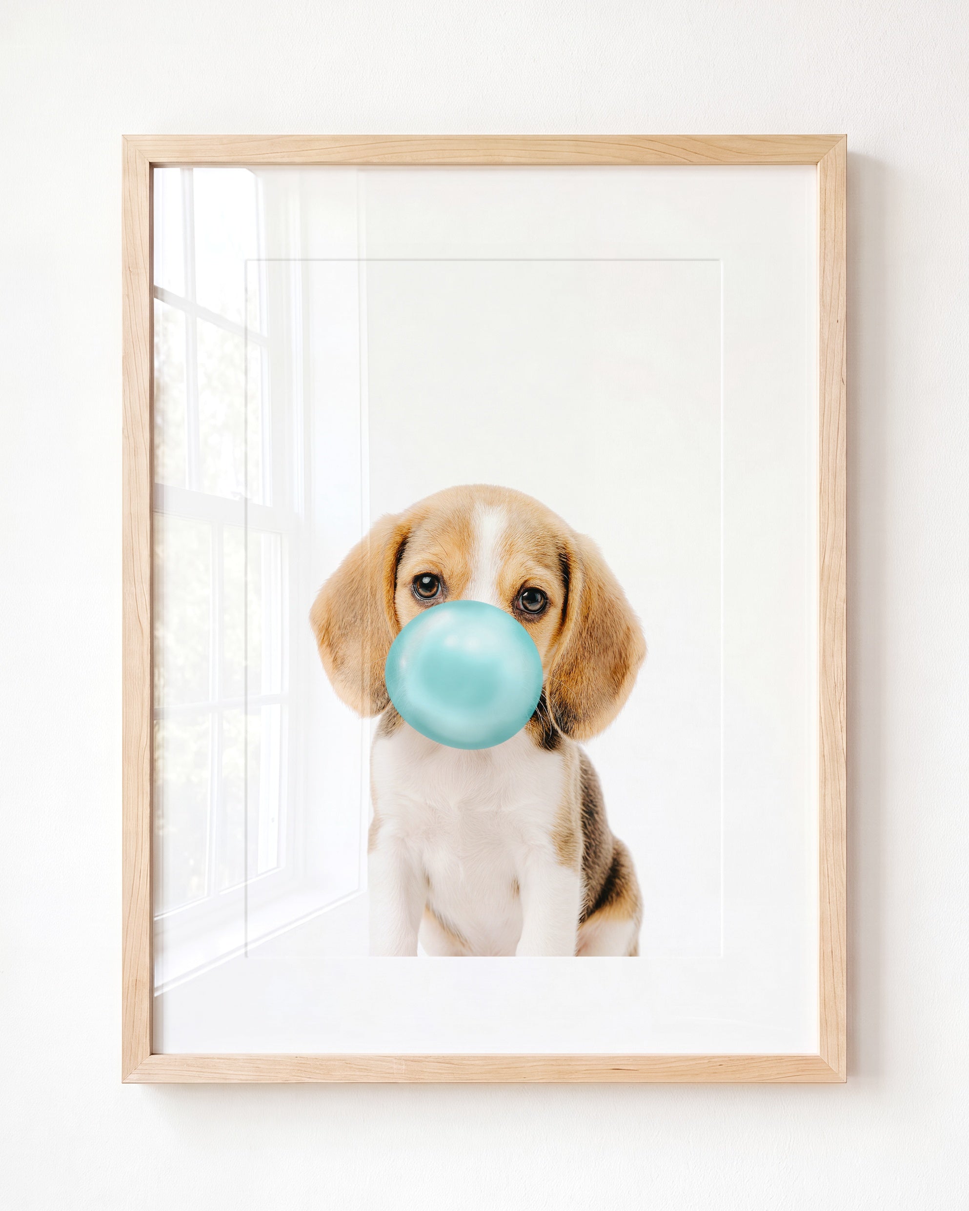 Baby Beagle Puppy