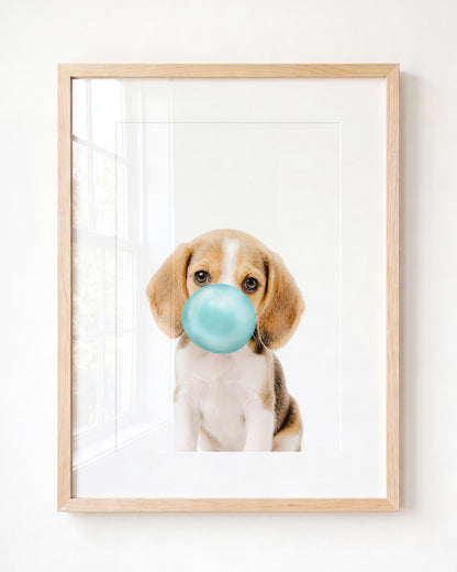 Baby Beagle Puppy