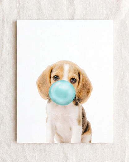 Baby Beagle Puppy