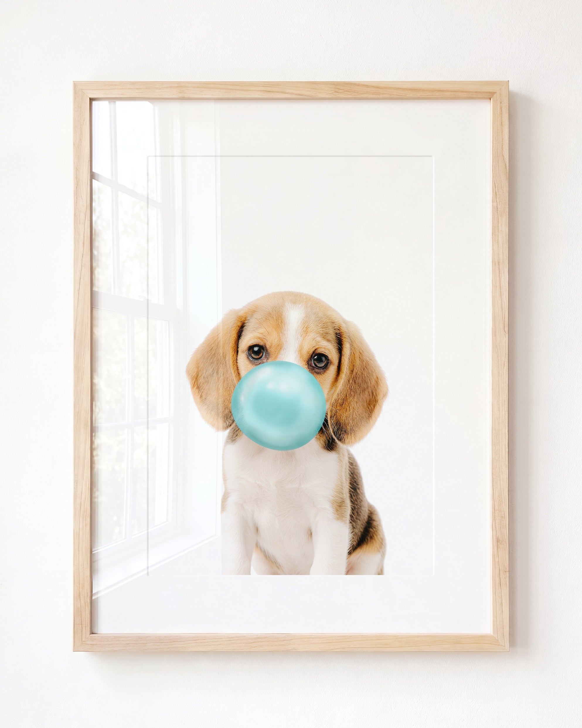 Baby Beagle Puppy