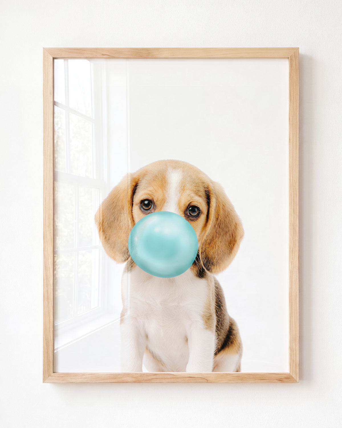 Baby Beagle Puppy