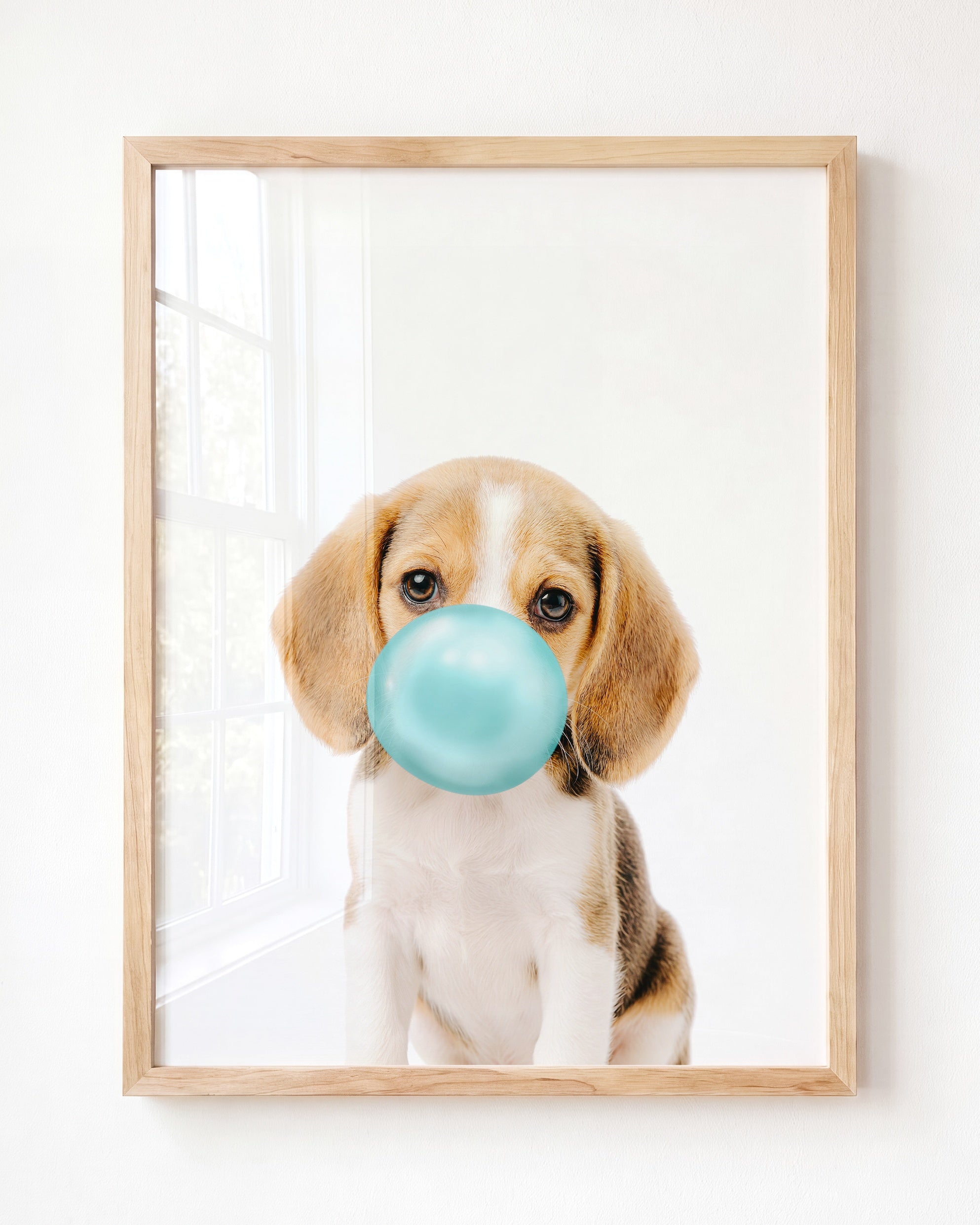 Baby Beagle Puppy