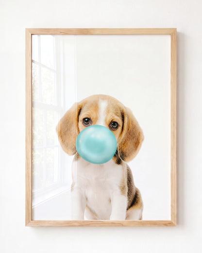 Baby Beagle Puppy