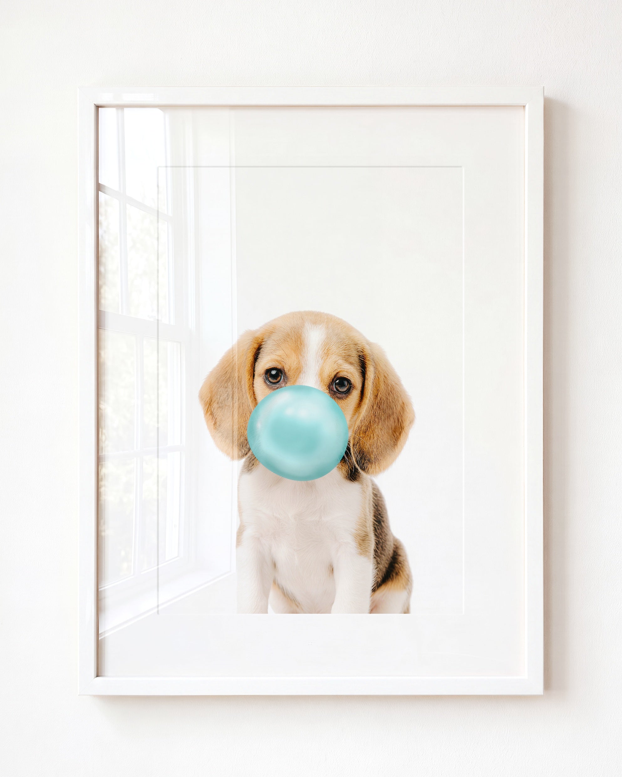 Baby Beagle Puppy