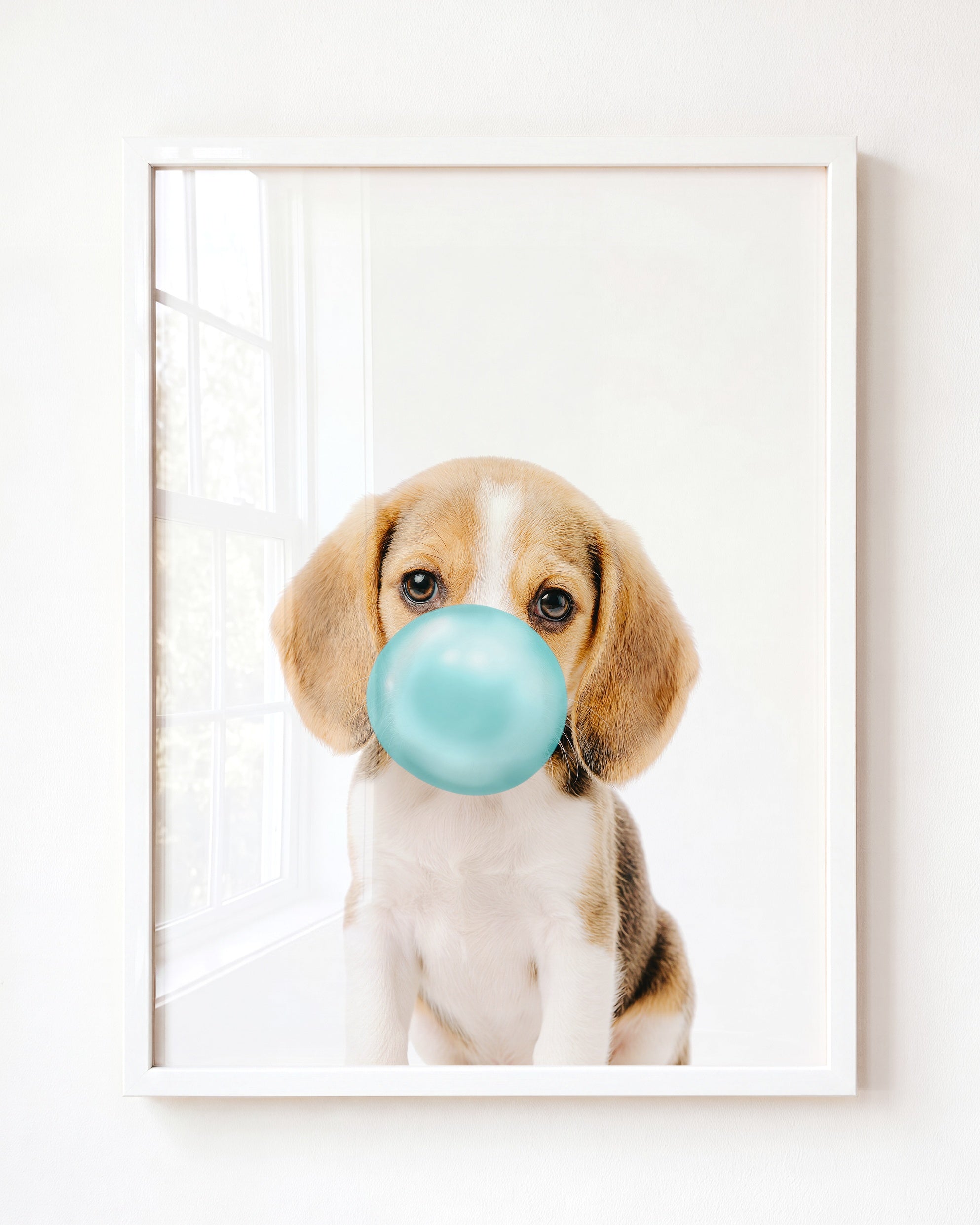 Baby Beagle Puppy